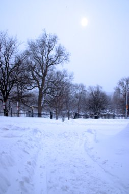 Boston, Massachusetts, ABD 'de kar yağışının stok görüntüsü