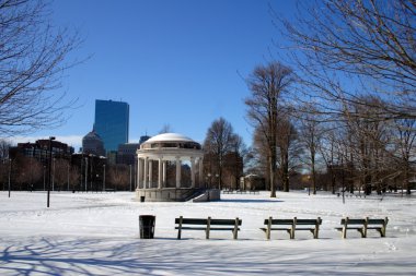 Boston, Massachusetts, ABD 'de kar yağışının stok görüntüsü