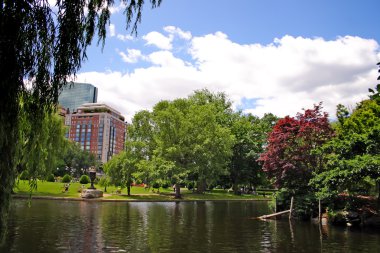 boston halk bahçesi