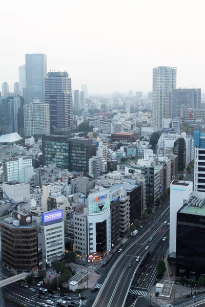 Lager bild av Tokyo skyline — Stockfoto