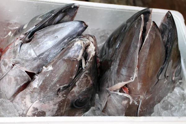 Mercado de peixes de Tsukiji, Tóquio, Japão — Fotografia de Stock