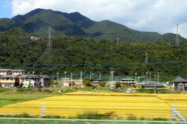 Фондовий зображенням гора Фудзі, Японія — стокове фото