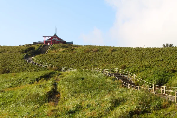 Hakone Milli Parkı, Japonya