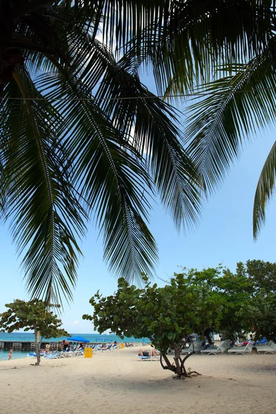 Strand der Arzthöhle, Bucht von Montego, Jamaica — Stockfoto