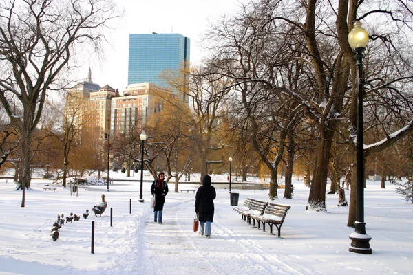 Boston, Massachusetts, ABD 'de kar yağışının stok görüntüsü
