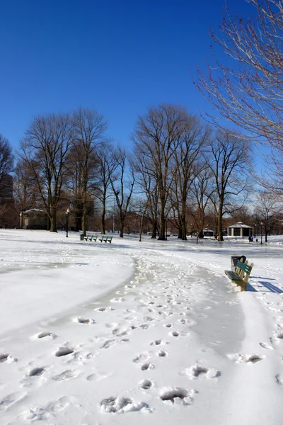 Stock imagen de un invierno nevando en Boston, Massachusetts, EE.UU. — Foto de Stock