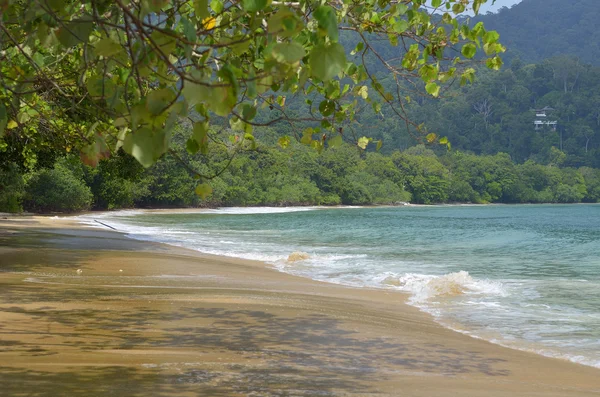 Langkawi 99 tropik adalara yarımada Malezya kuzeybatı kıyıları yatan bir grup oluşur. — Stok fotoğraf