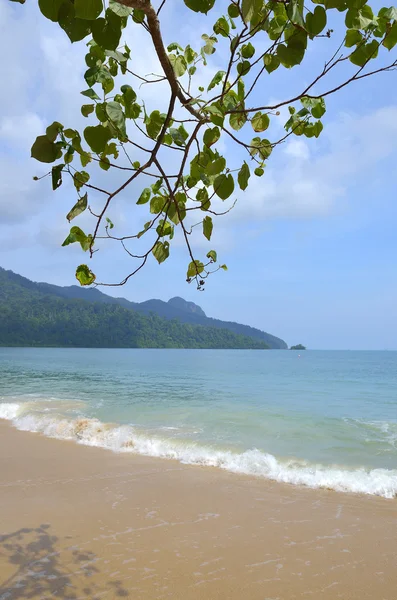 Langkawi comprend un groupe de 99 îles tropicales situées au large de la côte nord-ouest de la Malaisie péninsulaire — Photo