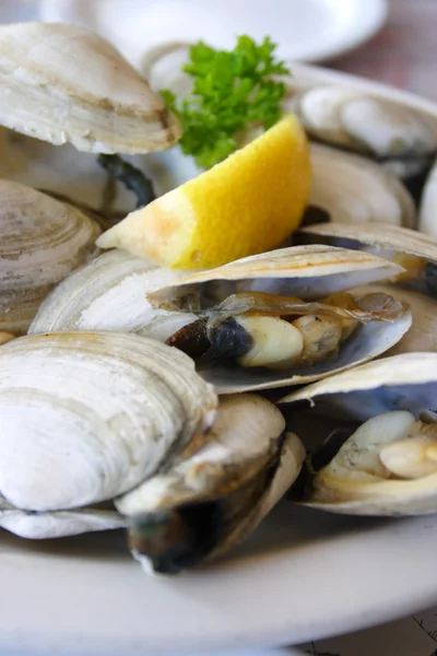 Schüssel mit leckeren frischen Dampfmuscheln mit Zitrone und Brühe — Stockfoto