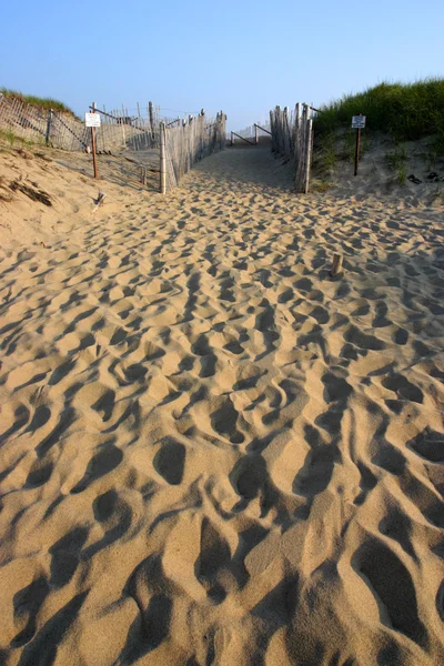 Cape Cod, Massachusetts, Amerikai Egyesült Államok — Stock Fotó