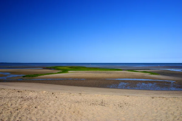 Cape Cod, Massachusetts, Stany Zjednoczone Ameryki — Zdjęcie stockowe