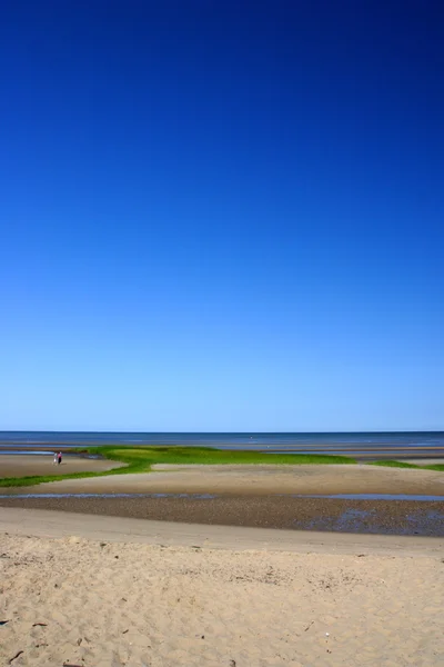 Cape Cod, Massachusetts, Amerikai Egyesült Államok — Stock Fotó