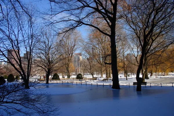 Stock imagen de un invierno nevando en Boston, Massachusetts, EE.UU. — Foto de Stock