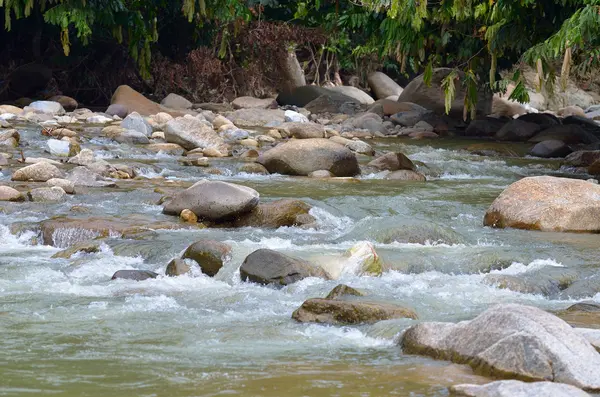 Janda Baik nehir, Malezya