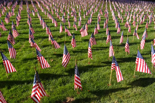 Campo de Bandeiras Americanas — Fotografia de Stock