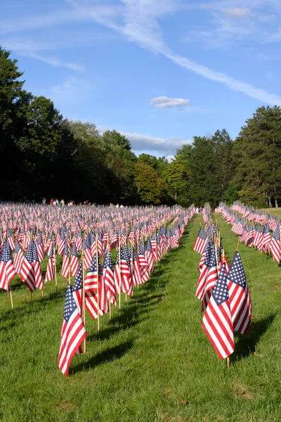 Campo de banderas americanas — Foto de Stock