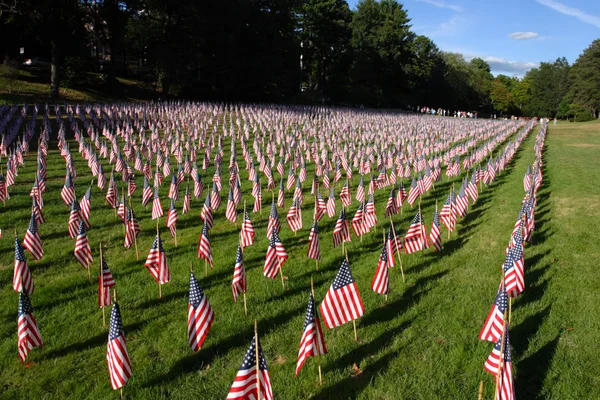 Campo de banderas americanas — Foto de Stock