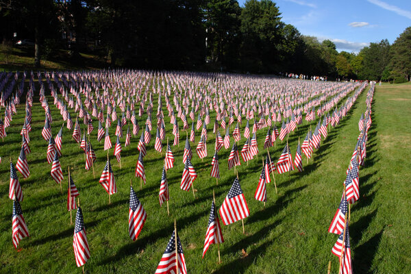 Field of American Flags