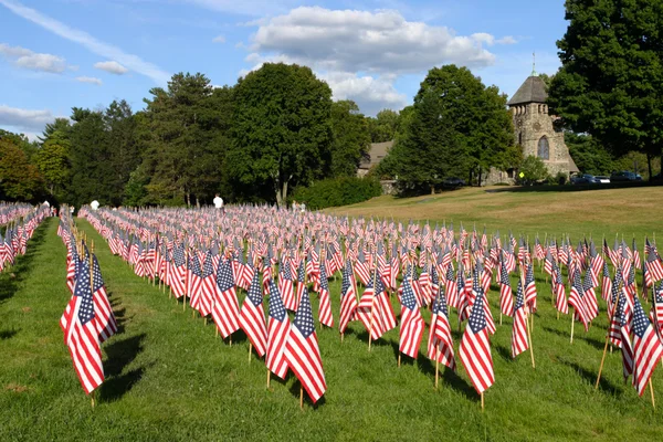 Campo de banderas americanas — Foto de Stock
