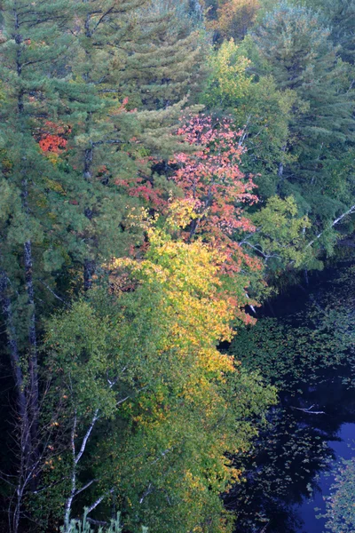 Vermont kırsal üzerinde yüzen bir sıcak hava balonu bir havadan görünümü — Stok fotoğraf