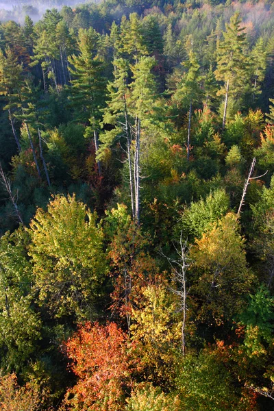 Letecký pohled na horkovzdušném balónu nad krajinou Vermont — Stock fotografie