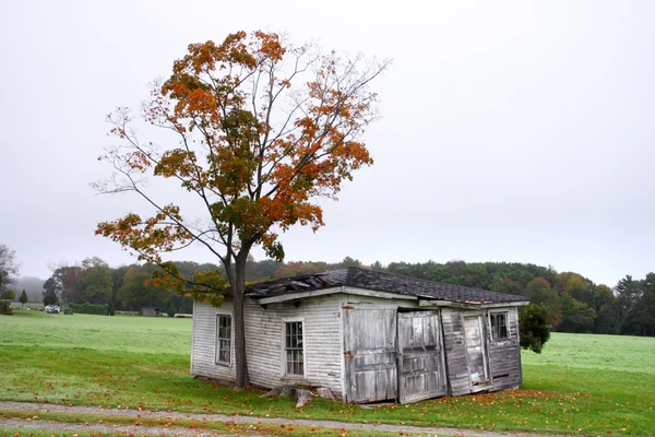 Spadek liści w Vermont, Stany Zjednoczone Ameryki — Zdjęcie stockowe