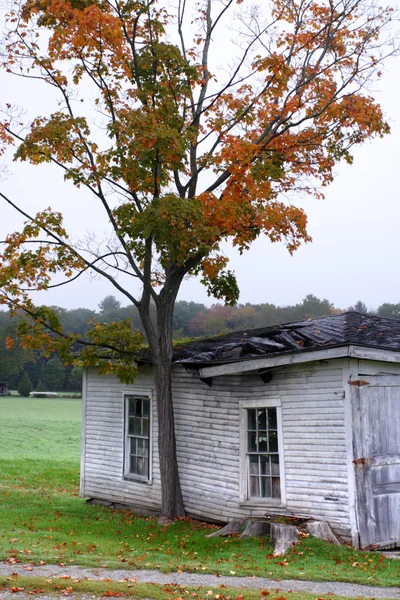 米国バーモント州で秋の紅葉 — ストック写真