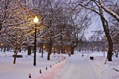 Boston, Massachusetts, ABD 'de kar yağışının stok görüntüsü