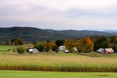 Sonbaharda yapraklar, Vermont, ABD