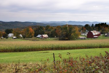 Sonbaharda yapraklar, Vermont, ABD
