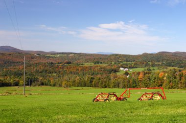 Sonbaharda yapraklar, Vermont, ABD