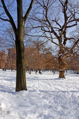 Boston, Massachusetts, ABD 'de kar yağışının stok görüntüsü