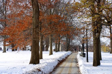 Boston, Massachusetts, ABD 'de kar yağışının stok görüntüsü