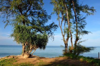 Mai khao beach, Phuket, Tayland, mavi gökyüzü ile güzel bir plaj