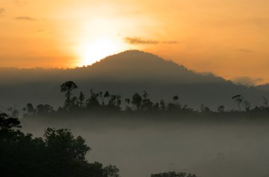 Sisli manzara stok görüntü