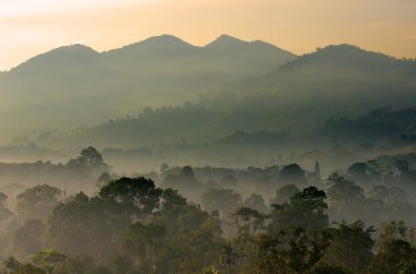 Sisli manzara stok görüntü
