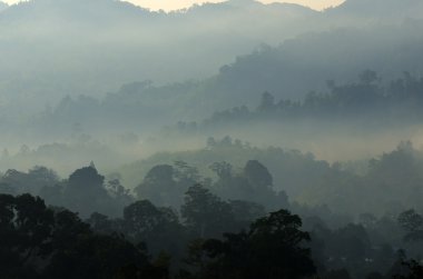Sisli manzara stok görüntü