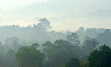 Sisli manzara stok görüntü