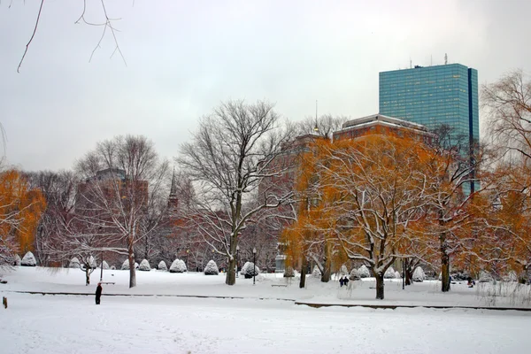 Boston, Massachusetts, ABD 'de kar yağışının stok görüntüsü — Stok fotoğraf