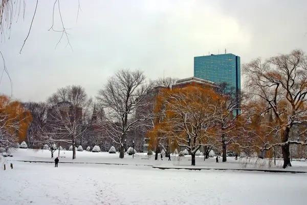 Boston, Massachusetts, ABD 'de kar yağışının stok görüntüsü — Stok fotoğraf