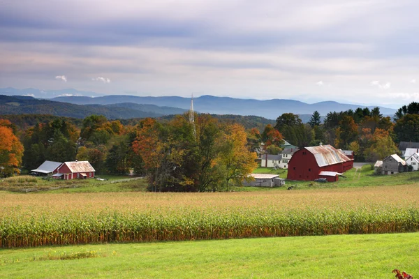 Follaje otoñal en Vermont, EE.UU. —  Fotos de Stock