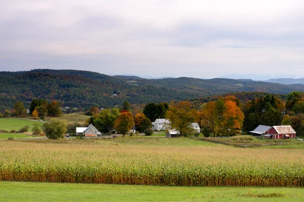 Sonbaharda yapraklar, Vermont, ABD — Stok fotoğraf