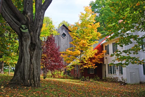 Na podzim listy na Vermont, Usa — Stock fotografie