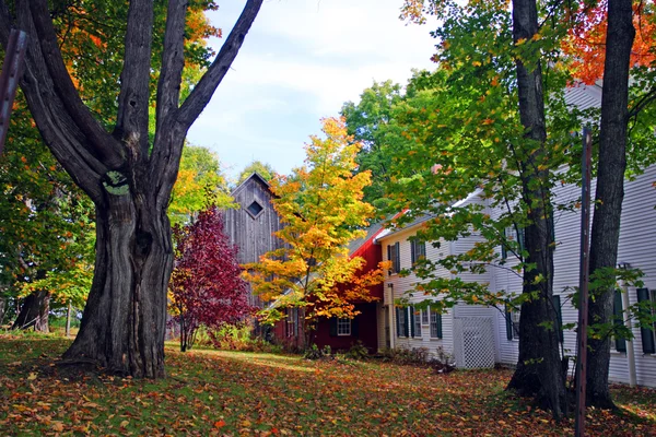 Fall foliage at Vermont, USA — Stock Photo, Image