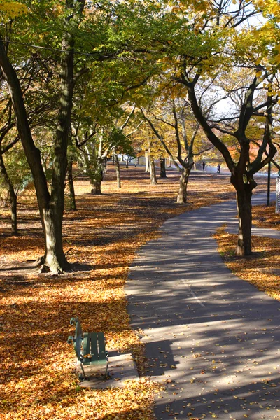 Image de stock de feuillage d'automne à Boston — Photo