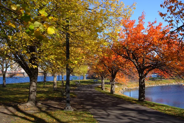 Stock image of fall foliage at Boston — Stock Photo, Image