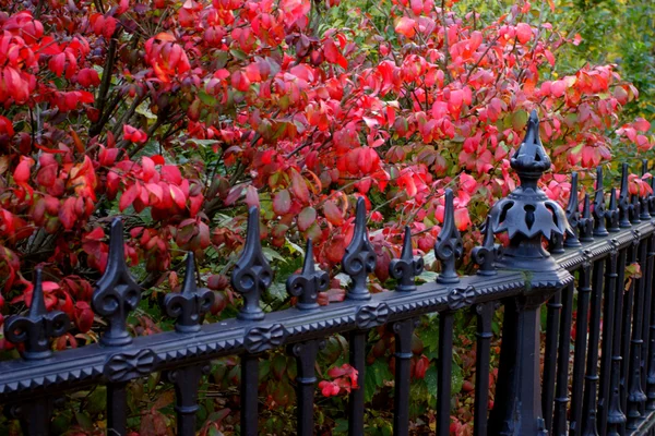 Boston Public Garden — Stock Photo, Image