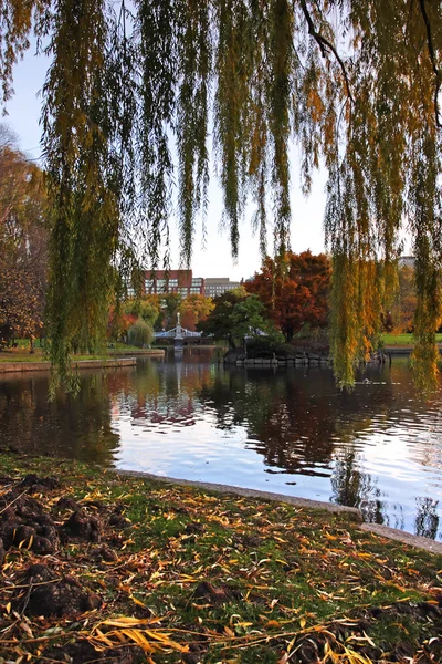 Jardim Público de Boston — Fotografia de Stock