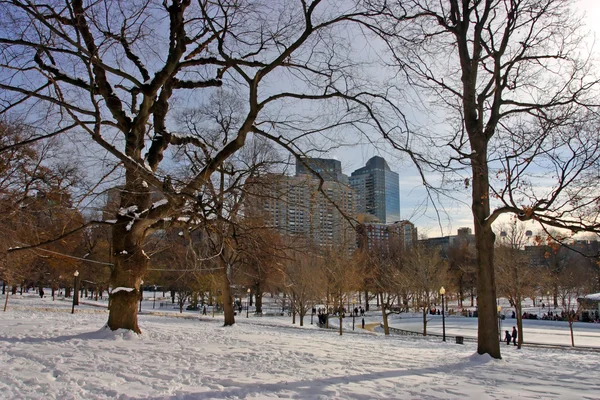 Obraz zapasu śniegu zima w Bostonie, massachusetts, usa — Zdjęcie stockowe