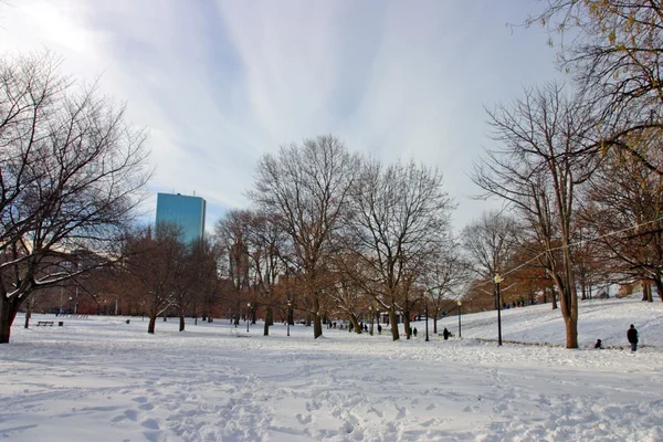 Stock bild av en snöande vinter vid Boston, massachusetts, usa — Stockfoto